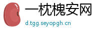 一枕槐安网
